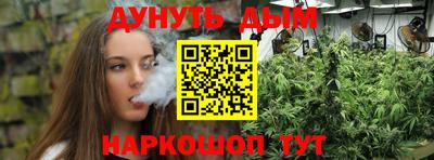 индика Будённовск