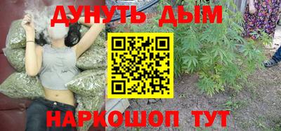 индика Будённовск