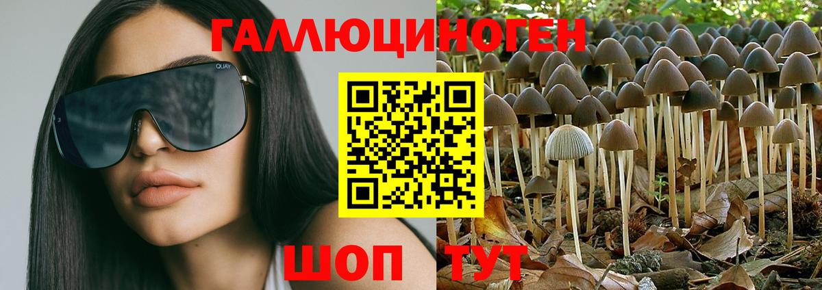 Галлюциногенные грибы мухоморы  Вход с VPN  Новоалександровск 